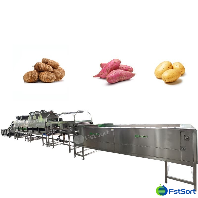 images/1768966405785potato processing 2.jpg